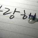 사랑 이미지