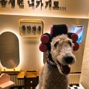 정류장여관 이미지