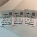 1203 | 로또 1203회 구매 후기