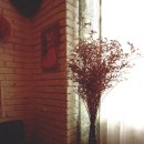 살롱드마롱(Salon de Marron) 이미지