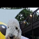 돌담과 초록 이미지