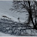 광희초등학교 이미지