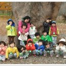 대자연어린이집 이미지