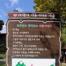 모악산참모싯잎송편 이미지