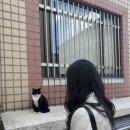 바비룸 뷰티 | 일상 2 즐거운 소비 : 선물 : 집 꾸미기 : 수원