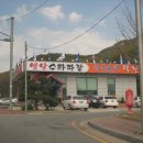 락천수타 티스토리