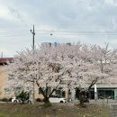 봉방천변길 | 충주 카페 퍼디 | 천변 따라 만난 공방 감성, 원목 가구 인테리어가 돋보이는 곳