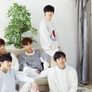 인피니트 노컷뉴스
