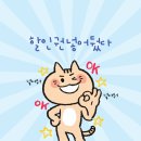 고양이 미용실 냥냥박사 이미지