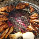 신고집숯불닭갈비 - 진주시 충의로 20-12 | 신고집숯불닭갈비