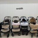 도약로 | [경기/부천] 강아지유모차할인매장 '펫랜드' 피카고유모차 체험후기