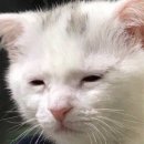 (주)그랜드하우스 웨딩컨벤션 이미지