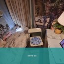 온정주의닷츠