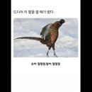 23년을 보내며 !