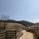 하천산책로앞(18657) | 경산 가볼 만한 곳 반곡지 주차장,산책로 정보(원앙,청둥오리,붉은귀거북)