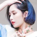 앨리스큐브 이미지