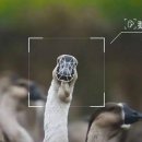 신농종합기계 이미지