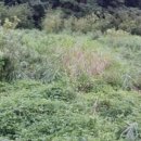 검암리 입구 이미지