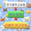 엑스파트 이미지