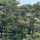 새봄디자인 - 수영구 연수로401번길 4 | [용산 왁싱] 깔끔하고 안 아픈 하드왁싱 맛집, 서울역 왁싱 '새봄'에서 첫 왁싱 후기!👊🏼✨✨