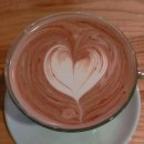 와이팟커피(Y.Pot Coffee) 이미지