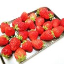 홈 스케치 (기초) 이미지