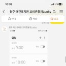 청주 애견유치원 꼬리흔들개Lucky 네이버블로그