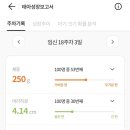 코끼리잠 이미지
