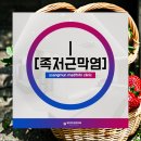 쌍문마디튼튼의원 이미지