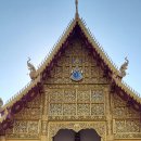 muang muang 이미지