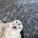 몽몽미용실 이미지