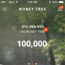 쿠폰트리 이미지