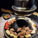 범계빌딩 개방화장실 | 인생 양갈비 등극! 범계 양원집, 비린내 0% 프리미엄 양고기 리얼 후기