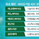 ADC, 독보적 효능으로 시장 휩쓸어…K바이오도 도전 이미지