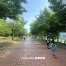 쌍봉산근린공원 축구장 이미지