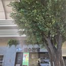 대덕대로-11 이미지