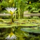 (주)지구환경 이미지