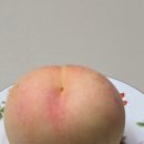 백경농장 이미지