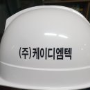 (주)케이디엠텍