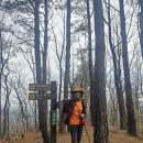 소똥령마을 이미지