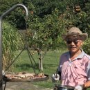 풍성한 은혜농장 이미지