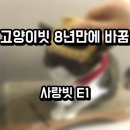 제이엠엔지니어링 - 수영구 수영로 759 | 입소문난 고양이빗 사랑빗 사람이 써본 후기
