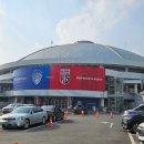 유진장 | [대전배구] 2025-2026 V-리그 여자배구 / 정관장 레드스파크스