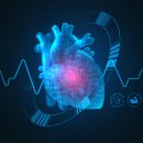 소프트시스템 이미지