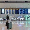 공항제일유치원 | 홍콩 공항 면세점 쇼핑 디즈니스토어, TWG 티테디(곰젤리)