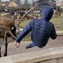 (주)벌리 이미지