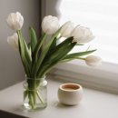 스텔라의원 이미지