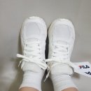 D00828 | 휠라 디사이퍼 내돈내산 후기