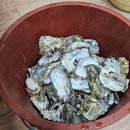 수유역 화장실 | [강북/수유] 굴찜 굴구이 굴보쌈 수유역 맛집 '통영굴구이 강북' 후기 + 주차/화장실/영업정보