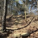 주식회사 리얼건 | 등린이의 아산_ 배방산 등산 ⛰️ 리얼 후기